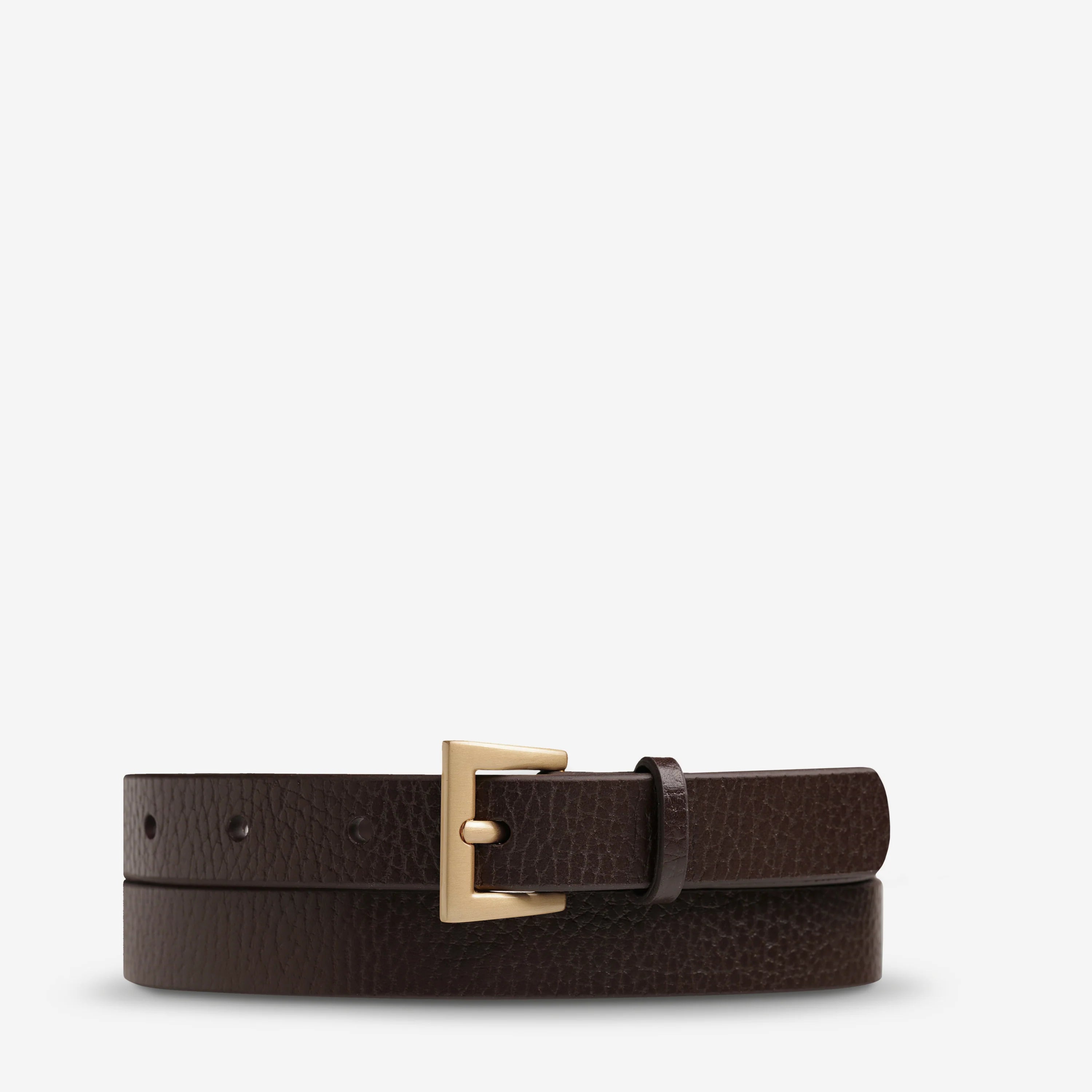 Part of Me Belt Choc/Gold
