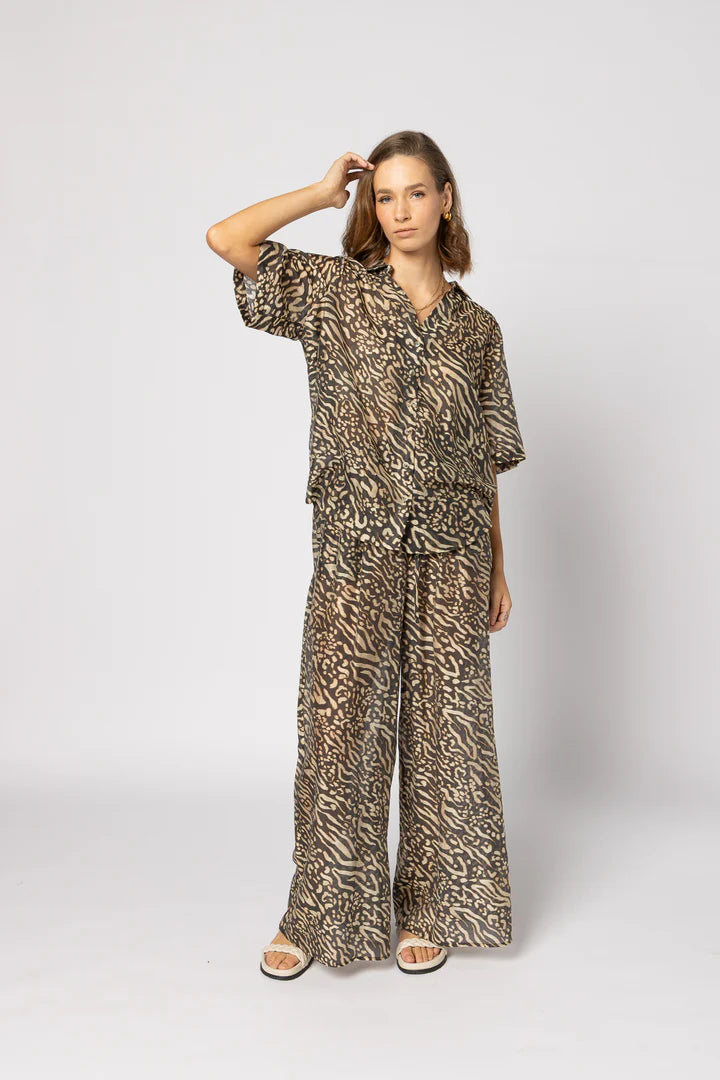 Pilazzo Pant Zebra Print
