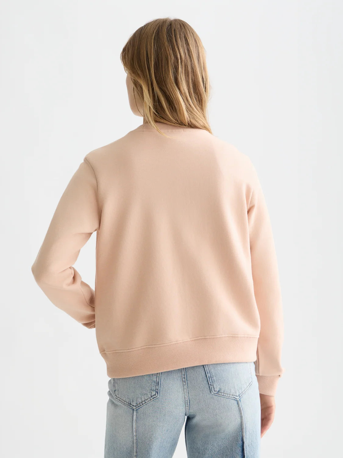 Artwork Regularfit Sweatshirt Rose Dust